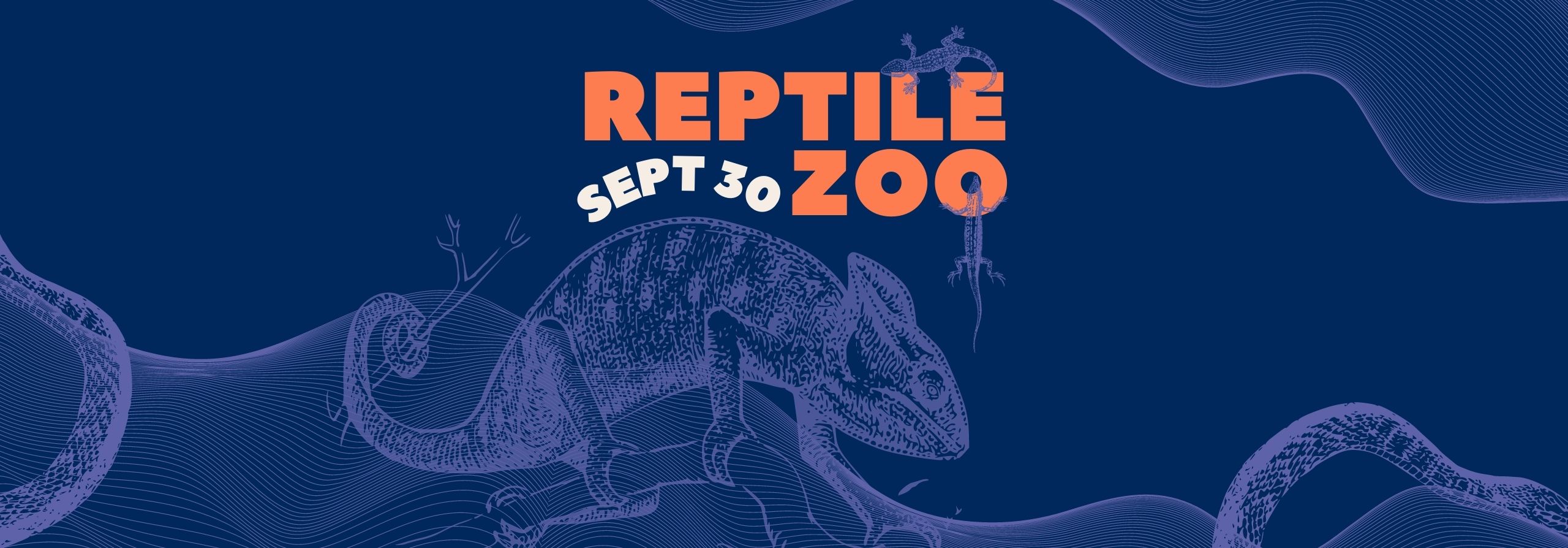 Cammeray Square Get up close at our Reptile Zoo! - Cammeray Square